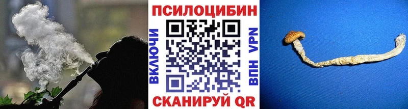Купить  Кызыл  Псилоцибиновые грибы MAGIC MUSHROOMS 